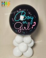 Baby Gender Reveal Exploding Balon