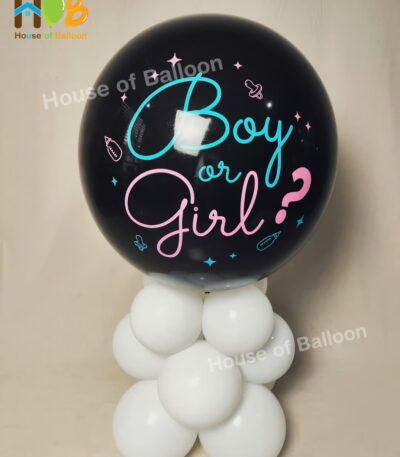 Baby Gender Reveal Exploding Balon