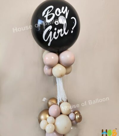 Baby Gender Reveal Exploding Balon Tiang