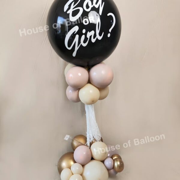 Baby Gender Reveal Exploding Balon Tiang