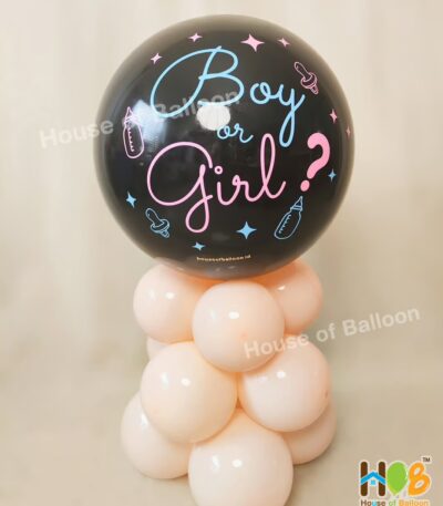 Baby Gender Reveal Exploding Balon