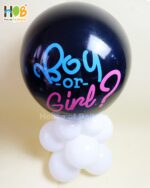 Baby Gender Reveal Exploding Balon