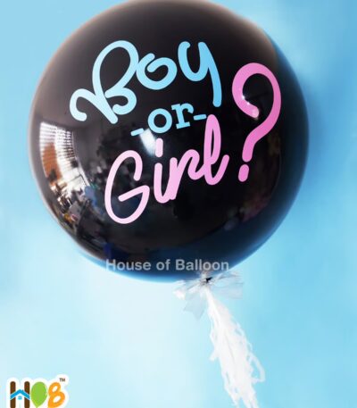 Baby Gender Reveal Exploding Balon Helium