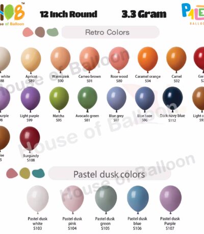 Balon Latex Premium Paleta