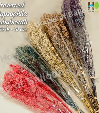 Baby Breath Preserved