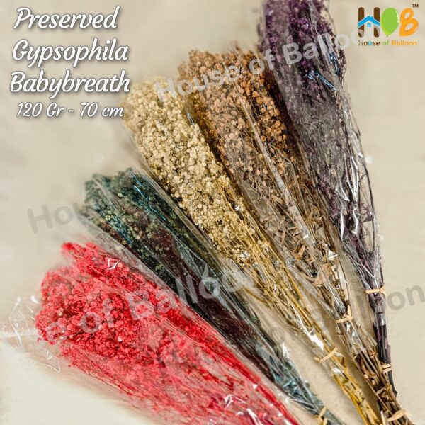 Baby Breath Preserved