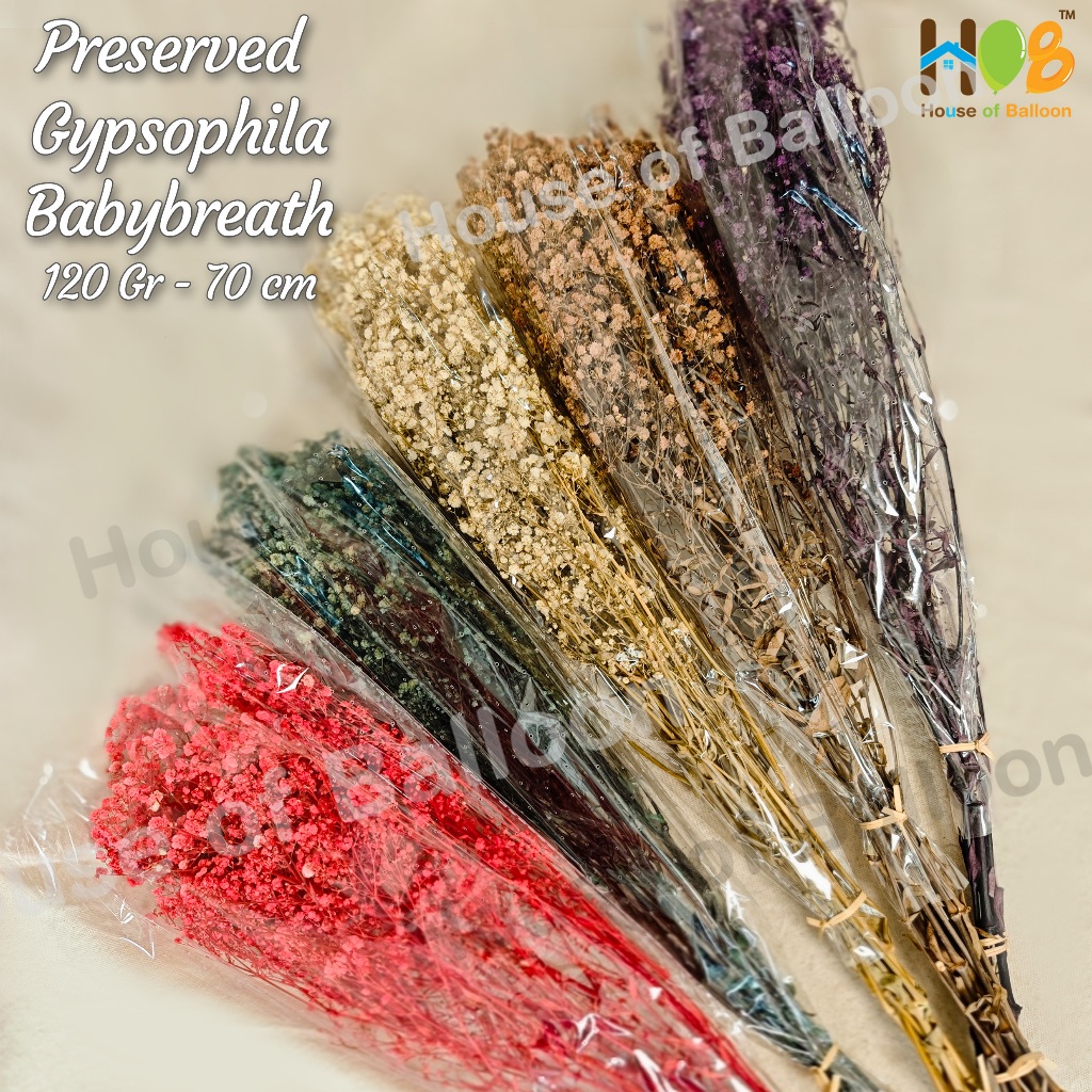 Baby Breath Preserved