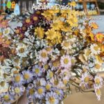Bunga Daisy Artificial Autumn